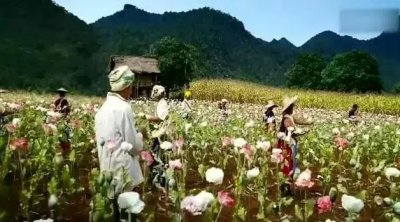 ​神秘的“金三角”，让人上瘾的除了“毒品”还有迷人的风光