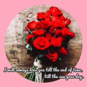 ​让美丽升华歌词 让美丽之花悄然绽放