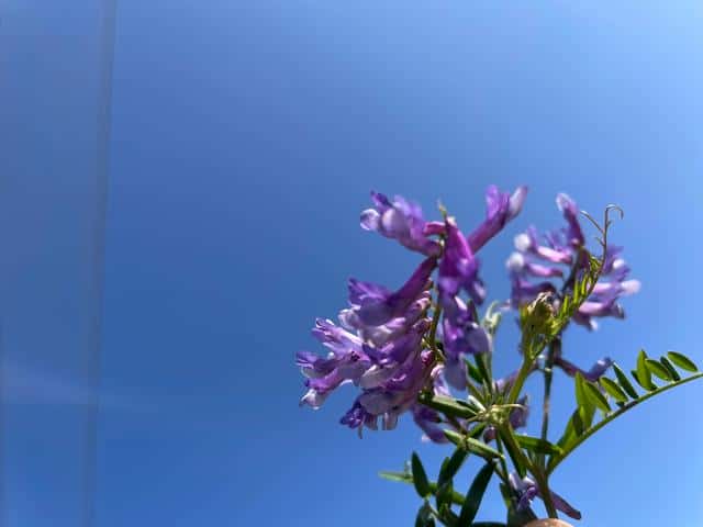 最美的瞬间歌词含义（最美的瞬间歌曲表达了什么感情意思）