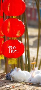 ​【你好武汉】