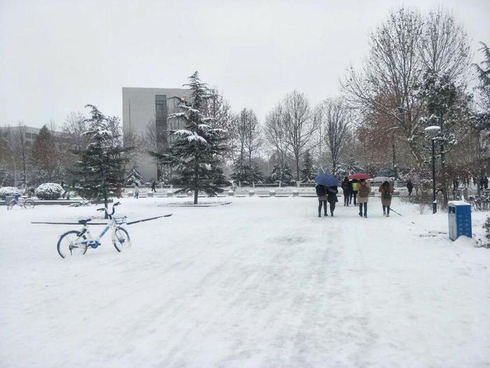 又下雪了，但请原谅我首先想到的情感歌曲不是《认真的雪》！