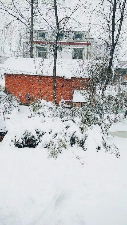 又下雪了，但请原谅我首先想到的情感歌曲不是《认真的雪》！