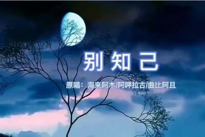 ​别知己歌词是什么意思(别知己歌词表达了什么感情)