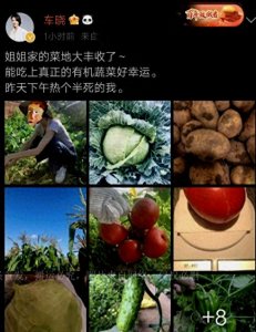 ​星二代车晓，当年与汪涵分手后，嫁给富商李兆会，红娘竟是成龙