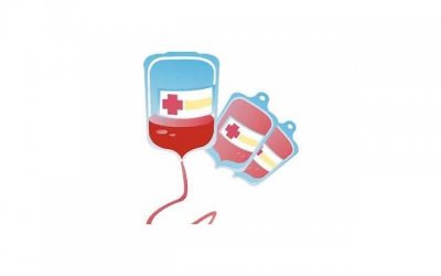 ​何首乌是否具有延时作用？