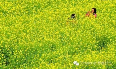 ​想不到广东还有这么美的小镇