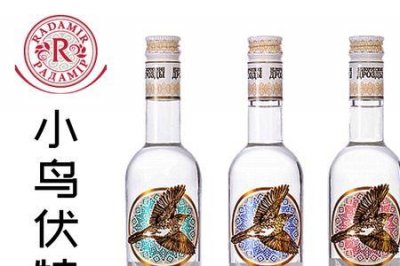 ​小鸟伏特加歌词含义