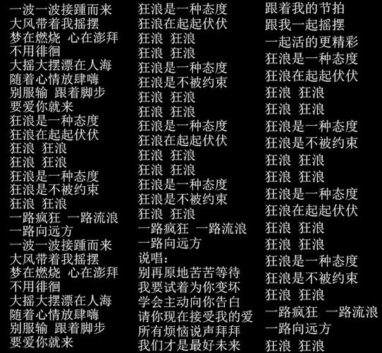 狂狼的歌词是什么（狂狼的歌曲简介）