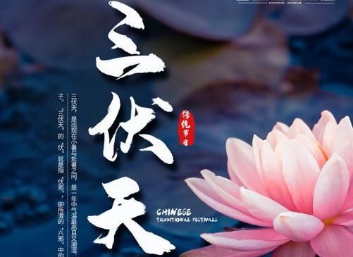 三伏天是什么时候开始的呀