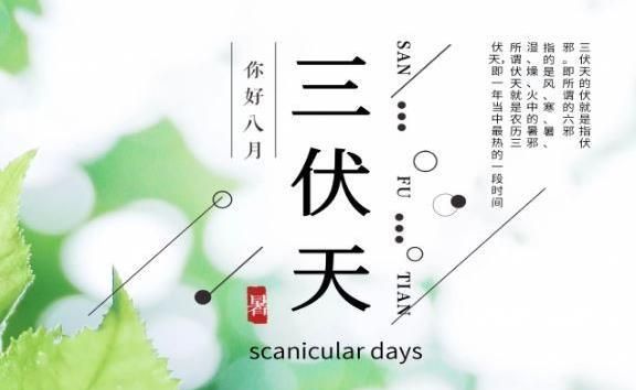 2022年三伏天什么时候开始什么时候结束