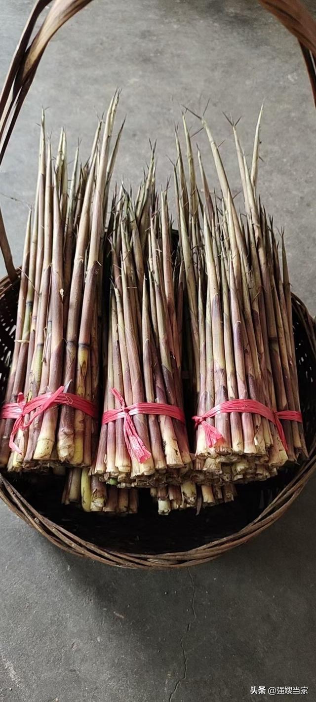 大春笋怎么保存时间长（用上3种保存方法）(2)