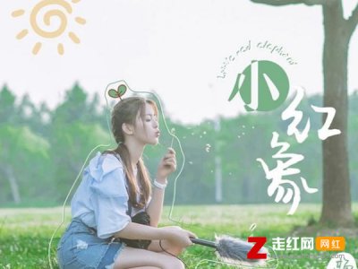 ​小红小象是小红象是什么歌，小红象歌曲介绍