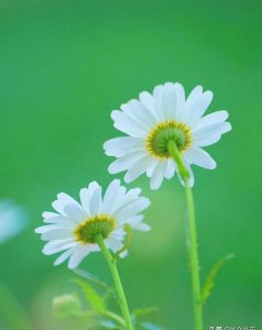 ​为什么的歌曲(千万个为什么的歌曲)