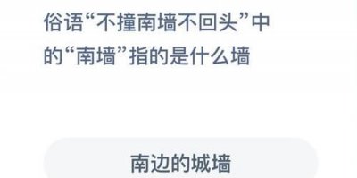 ​不撞南墙不回头是什么意思,不撞南墙不回头的意思是什么意思
