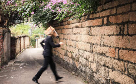 不撞南墙不回头是什么意思,不撞南墙不回头的意思是什么意思图4