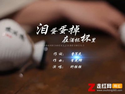 ​我的那个亲亲呀是什么歌，泪蛋蛋掉在酒杯杯里歌词分享