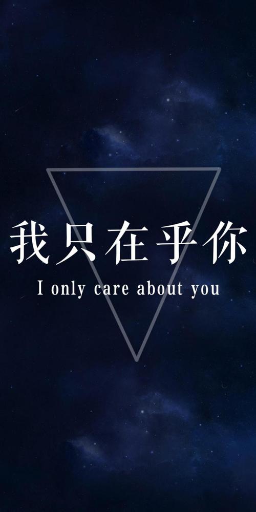 我只在乎你（歌词（邓丽君我只在乎你）