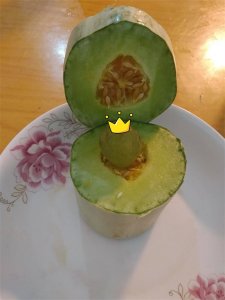 ​日不落的歌 日不落歌词抖音