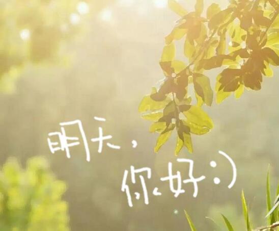 长大以后我只能奔跑是什么歌