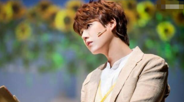 忙内是什么意思,饭圈忙内是什么意思图2