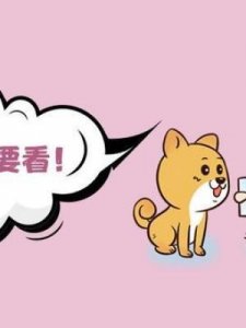 ​什么是勾股数(什么是勾股数满足什么特点)