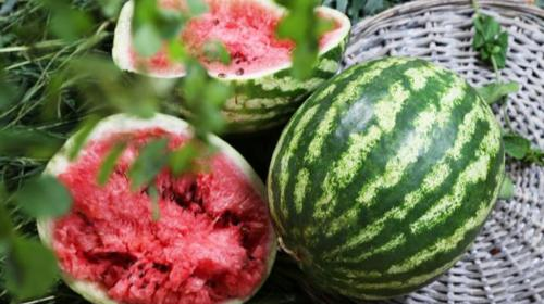 立秋吃什么风俗食物,立秋吃什么传统食物?图3