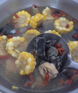 ​炖鸽子汤可以放玉米吗，鸽子可以吃粉碎的玉米吗？
