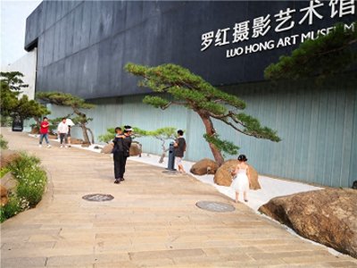 ​自驾游 · 打卡罗红摄影艺术馆