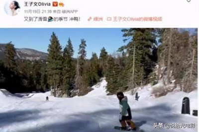 ​王子文贾乃亮情史（曲妖精王子文的情史）