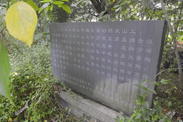 鹦哥岭原始社会遗址（观文脉鹦歌山新石器时代遗址）(7)