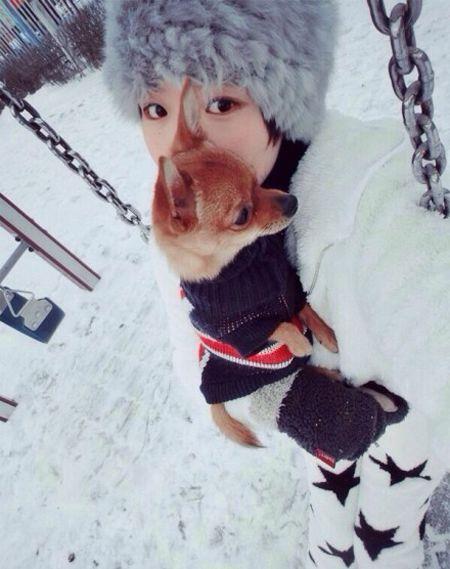 索毛毛katze的资料微博 最萌身高差情侣分手