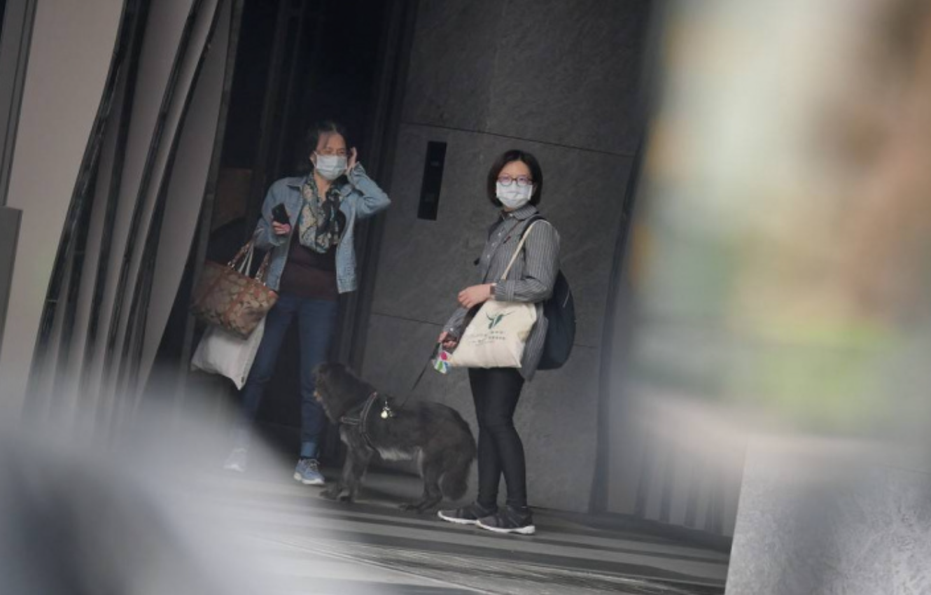 9岁林依晨产后火速复出，身材苗条仍似少女，一月减重18斤太拼命