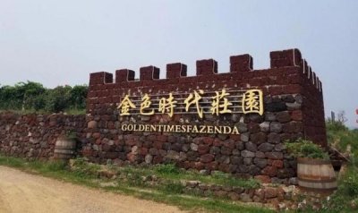 烟台金色葡萄酒业有限公司(烟台金色葡园酒各种红酒价格)