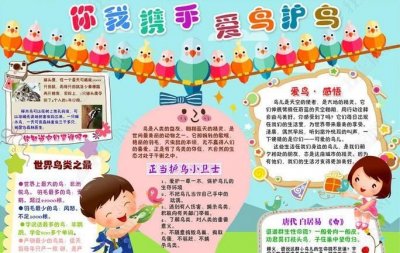 ​保护鸟的宣传标语有哪些，保护野生动物宣传标语有哪些？