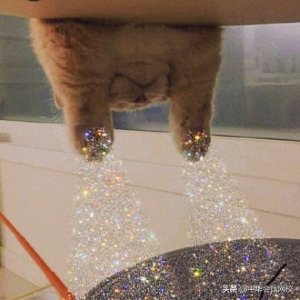 ​听说有考57分的中级考生，成绩复核成功过60分了？