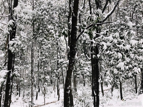 寒潮凶猛，大暴雪袭击杭州！积雪10厘米以上一夜变雪城