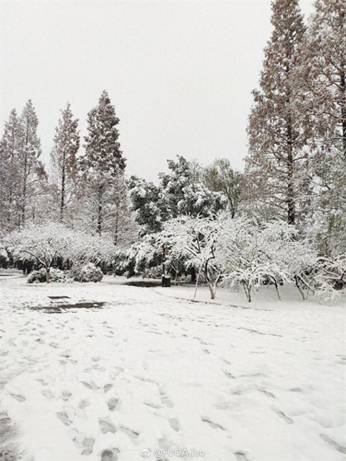 寒潮凶猛，大暴雪袭击杭州！积雪10厘米以上一夜变雪城