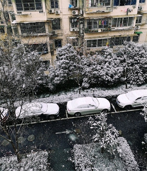 寒潮凶猛，大暴雪袭击杭州！积雪10厘米以上一夜变雪城