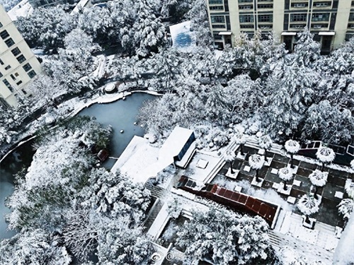 寒潮凶猛，大暴雪袭击杭州！积雪10厘米以上一夜变雪城