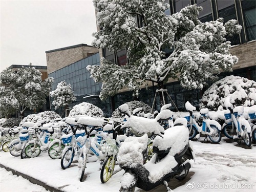 寒潮凶猛，大暴雪袭击杭州！积雪10厘米以上一夜变雪城