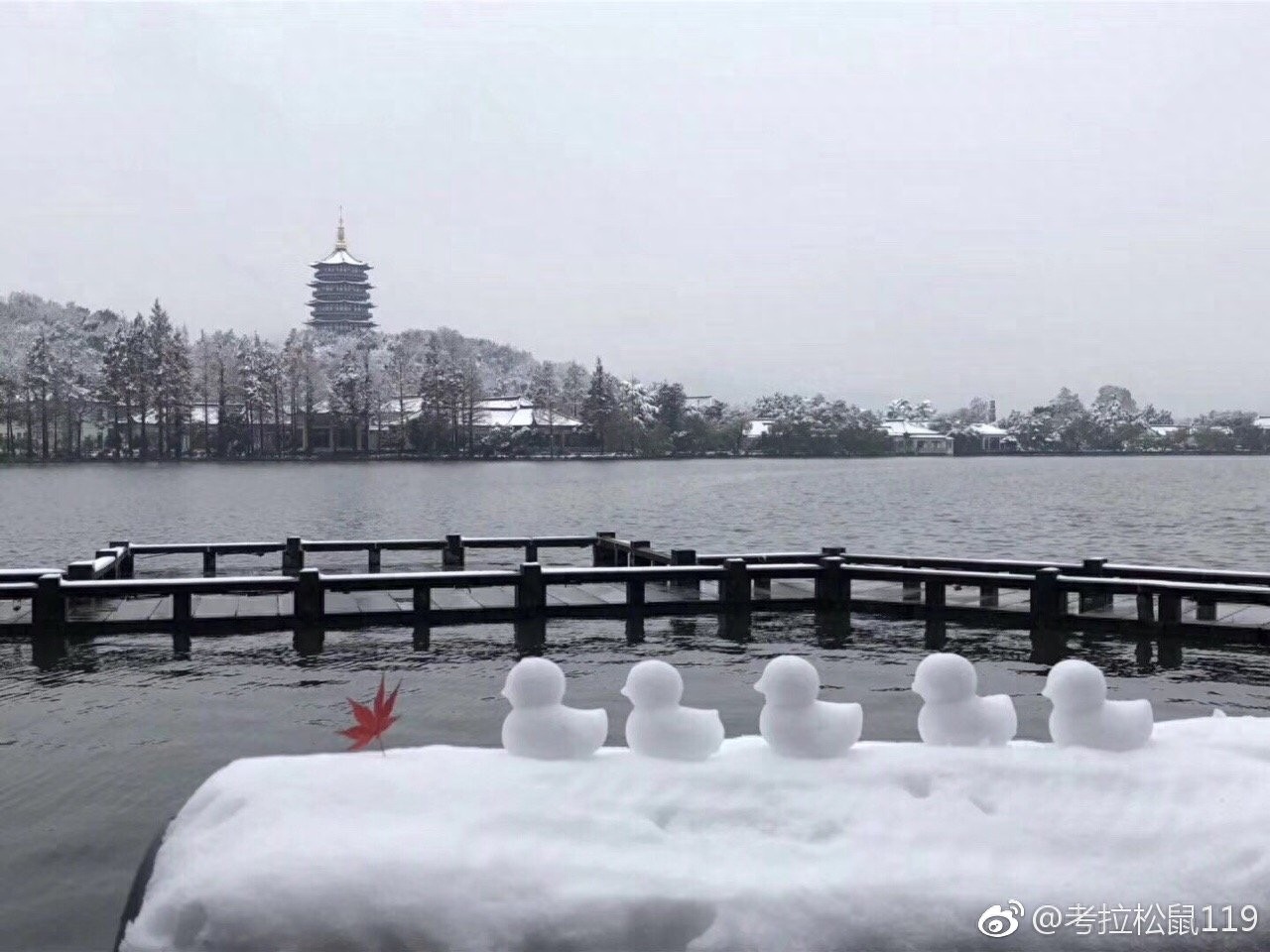 寒潮凶猛，大暴雪袭击杭州！积雪10厘米以上一夜变雪城