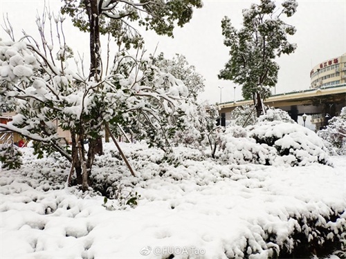 寒潮凶猛，大暴雪袭击杭州！积雪10厘米以上一夜变雪城