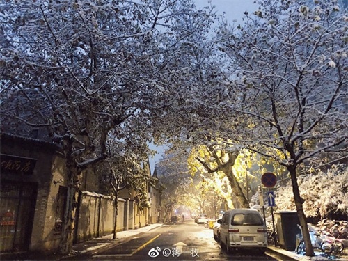 寒潮凶猛，大暴雪袭击杭州！积雪10厘米以上一夜变雪城