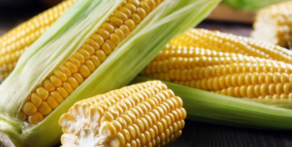 冷水下锅的玉米煮多久,冷水下锅的玉米煮多久大火小火图3