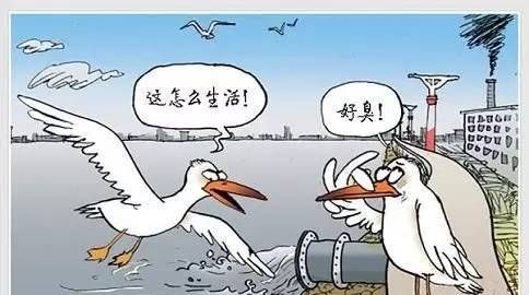 工业三废指的是哪三种