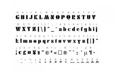 ​冬眠的北极熊究竟有哪些特征