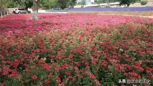 “静之湖”闲暇时可以去转转（京郊游）