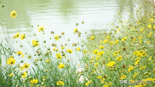 “静之湖”闲暇时可以去转转（京郊游）