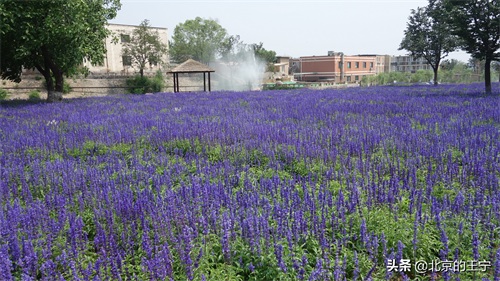 “静之湖”闲暇时可以去转转（京郊游）