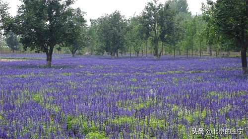 “静之湖”闲暇时可以去转转（京郊游）